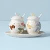 Lenox Butterfly Meadow 7-Piece Condiment Set -Sass Store 833956 w10 e7bcc431 6d54 46c0 8de6 0e98be83039f