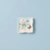 Lenox Butterfly Meadow Square Dish -Sass Store 887964 w10