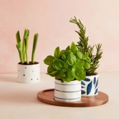 Lenox Blue Bay 4-Piece Snack Bowl & Tray Set 7 Lenox Blue Bay 4-Piece Snack Bowl & Tray Set -Sass Store 890207 LNP S21 FEA 3