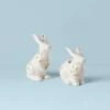 Lenox Butterfly Meadow Bunny Salt & Pepper -Sass Store 893456 w10